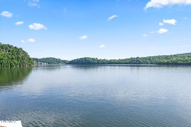 196 Furches Dr, Gray, TN 37615 - water view featuring a heavily wooded area