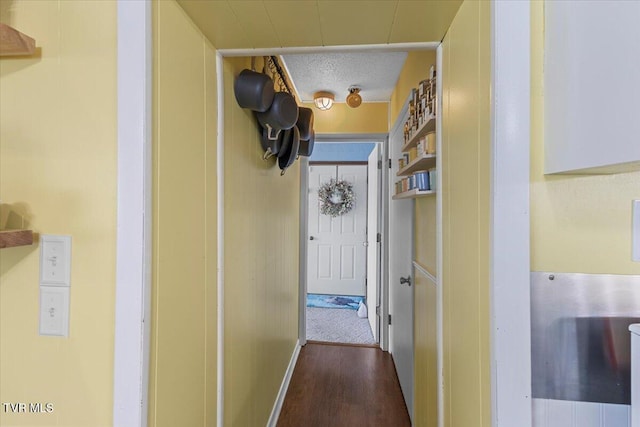 196 Furches Dr, Gray, TN 37615 - hall featuring dark wood-style flooring