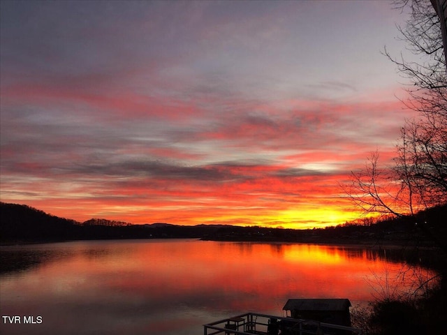 196 Furches Dr, Gray, TN 37615 - dock area with a water view