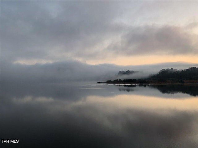196 Furches Dr, Gray, TN 37615 - water view