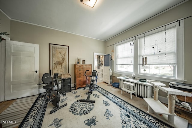 office with plenty of natural light and ornamental molding
