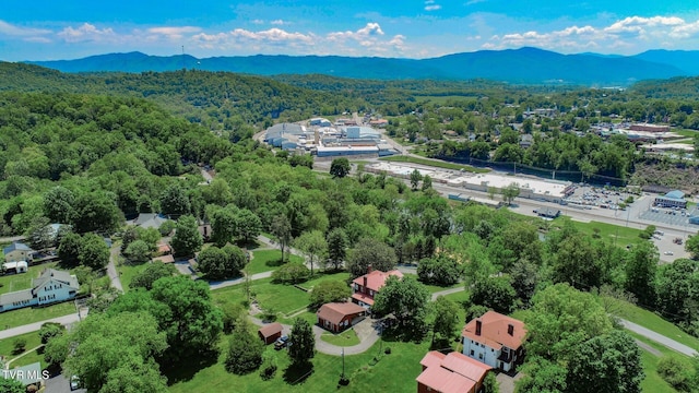bird's eye view with a forest view and a mountain view