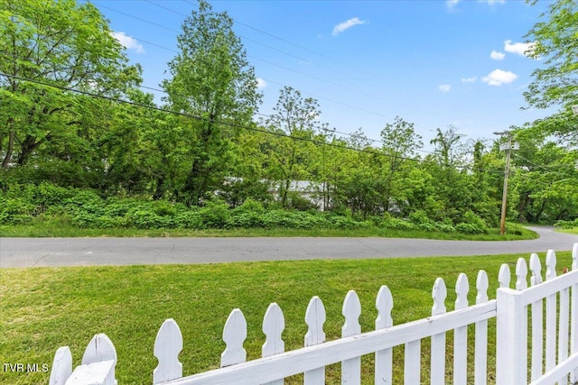269 Rocky Branch Rd, Elizabethton, TN 37643 - view of yard