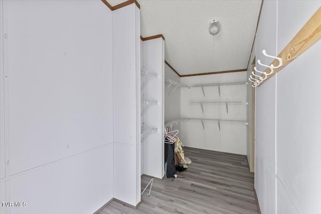 269 Rocky Branch Rd, Elizabethton, TN 37643 - spacious closet with wood finished floors