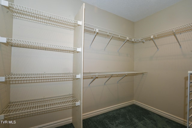 walk in closet with carpet flooring
