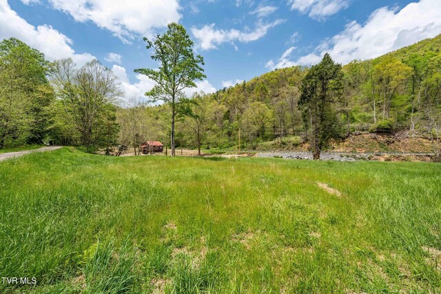 315 Shaw Ward Rd, Butler, TN 37640 - photo 19