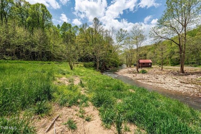 315 Shaw Ward Rd, Butler, TN 37640 - photo 23