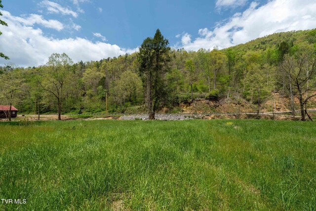 315 Shaw Ward Rd, Butler, TN 37640 - photo 31