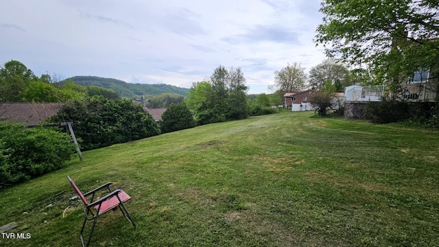 616 SE Kiser Ave, Coeburn, VA 24230 - view of yard