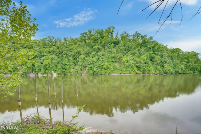 property view of water featuring a forest view