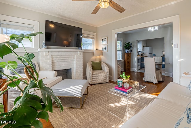 living room featuring a textured ceiling, ornamental molding, a ceiling fan, and wood finished floors