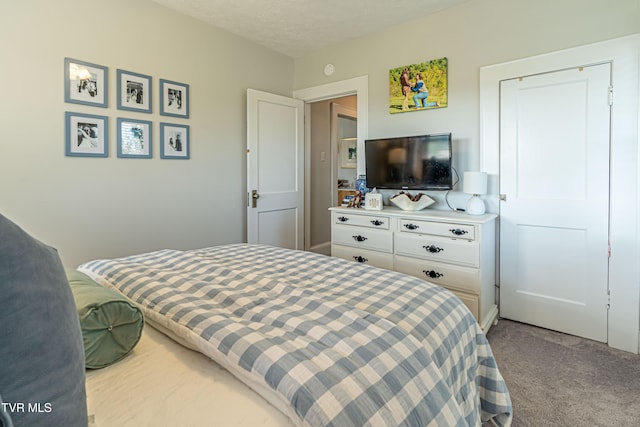 bedroom featuring carpet flooring