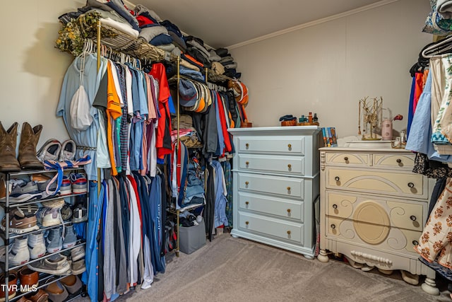 spacious closet featuring carpet