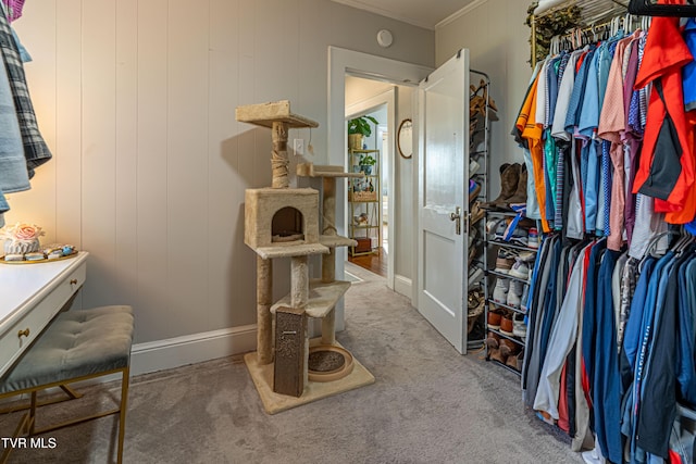 spacious closet with carpet floors