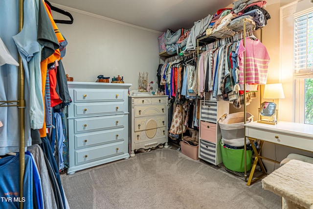 spacious closet featuring carpet floors