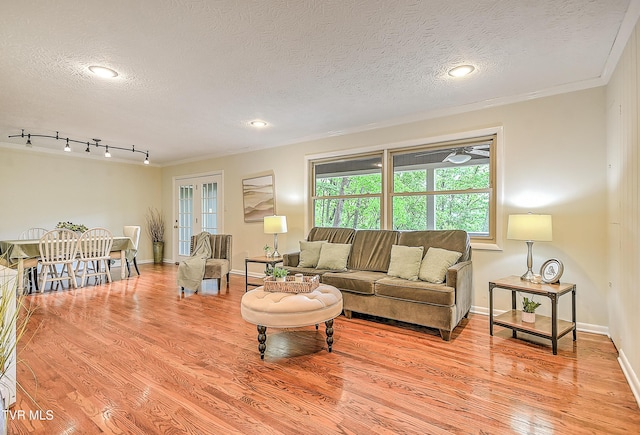 living room with crown molding, a textured ceiling, and wood finished floors