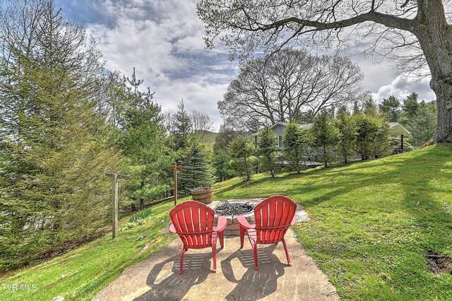 190 Roanwood Rd, Roan Mountain, TN 37687 - view of yard featuring a fire pit