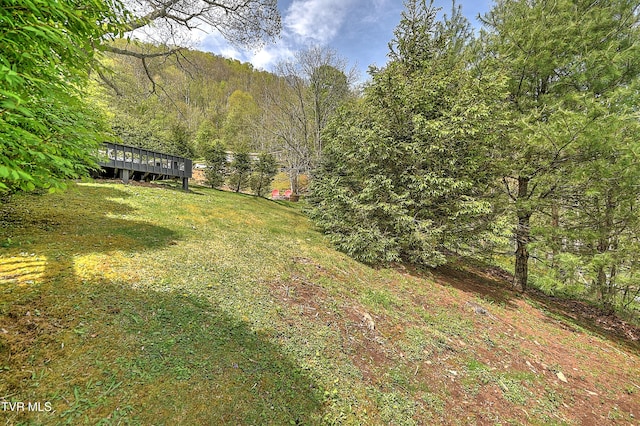 190 Roanwood Rd, Roan Mountain, TN 37687 - view of yard featuring a wooden deck and a wooded view