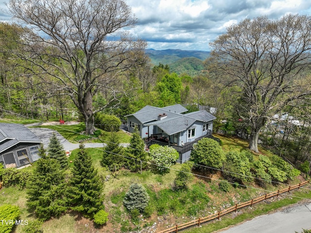 190 Roanwood Rd, Roan Mountain, TN 37687 - aerial view