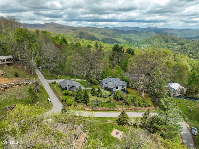 190 Roanwood Rd, Roan Mountain, TN 37687 - drone / aerial view with a view of trees and a mountain view