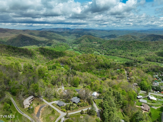 190 Roanwood Rd, Roan Mountain, TN 37687 - birds eye view of property featuring a view of trees and a mountain view
