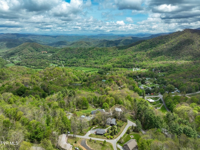 190 Roanwood Rd, Roan Mountain, TN 37687 - bird's eye view with a view of trees and a mountain view