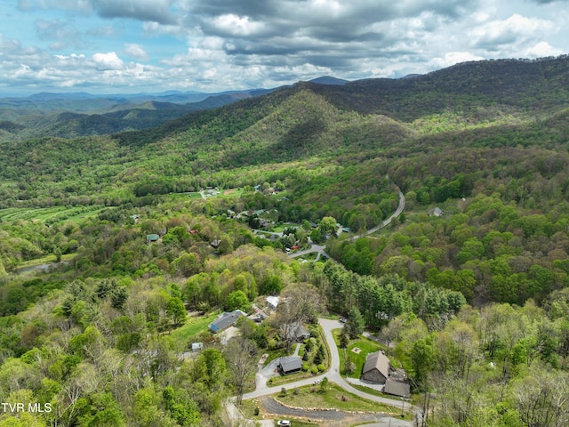 190 Roanwood Rd, Roan Mountain, TN 37687 - bird's eye view featuring a mountain view and a wooded view