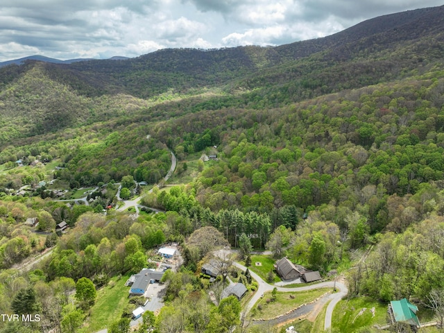 190 Roanwood Rd, Roan Mountain, TN 37687 - aerial view with a mountain view and a wooded view