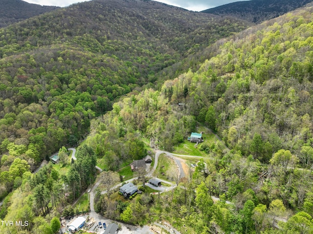 190 Roanwood Rd, Roan Mountain, TN 37687 - birds eye view of property featuring a mountain view and a forest view