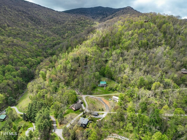 190 Roanwood Rd, Roan Mountain, TN 37687 - bird's eye view with a forest view and a mountain view