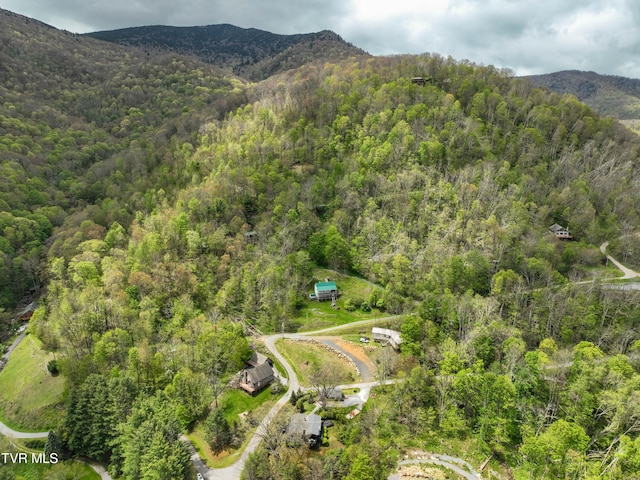 190 Roanwood Rd, Roan Mountain, TN 37687 - drone / aerial view with a view of trees and a mountain view