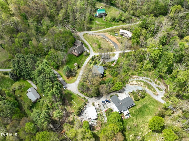 190 Roanwood Rd, Roan Mountain, TN 37687 - aerial view