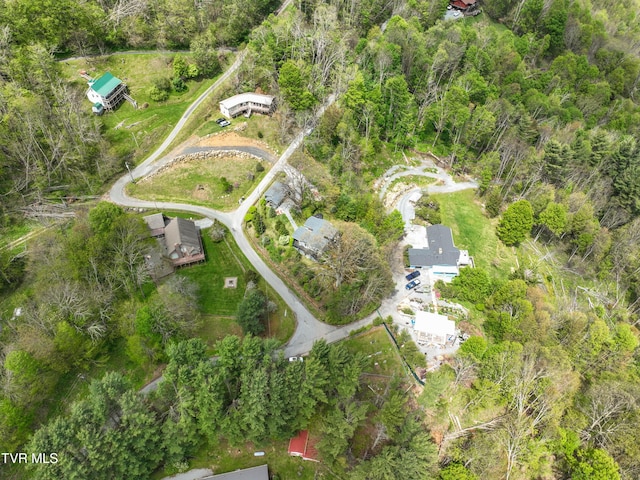 190 Roanwood Rd, Roan Mountain, TN 37687 - aerial view