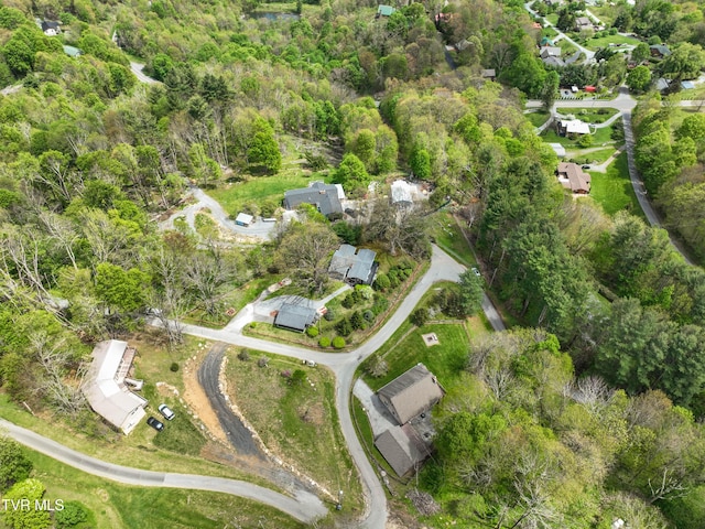 190 Roanwood Rd, Roan Mountain, TN 37687 - aerial view
