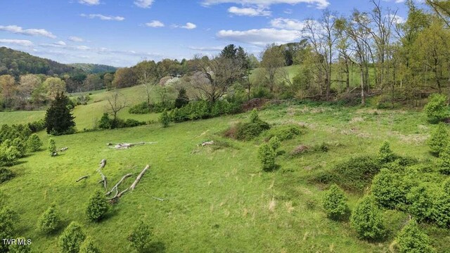 Tbd Highway 11w, Surgoinsville, TN 37873 - photo 3