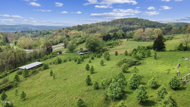 Tbd Highway 11w, Surgoinsville, TN 37873 - photo 10