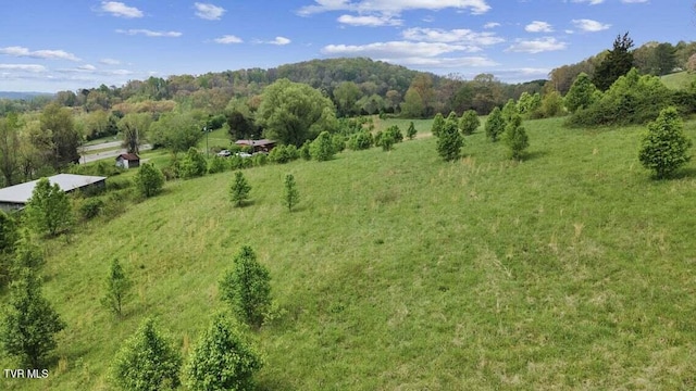 Tbd Highway 11w, Surgoinsville, TN 37873 - photo 4
