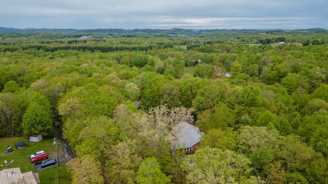 aerial view with a view of trees