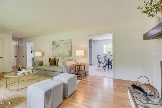 541 Vance Dr, Bristol, TN 37620 - living area with light wood-style flooring, a textured ceiling, and crown molding