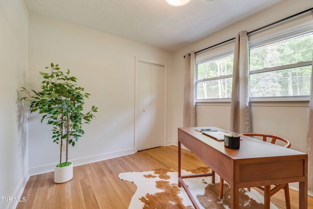 541 Vance Dr, Bristol, TN 37620 - office featuring light wood finished floors, baseboards, and a textured ceiling