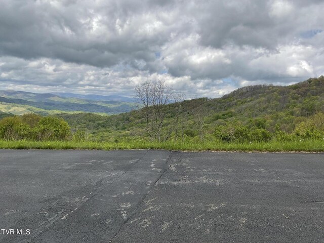 TBD NE Moddock Rd, Trade, TN 37691