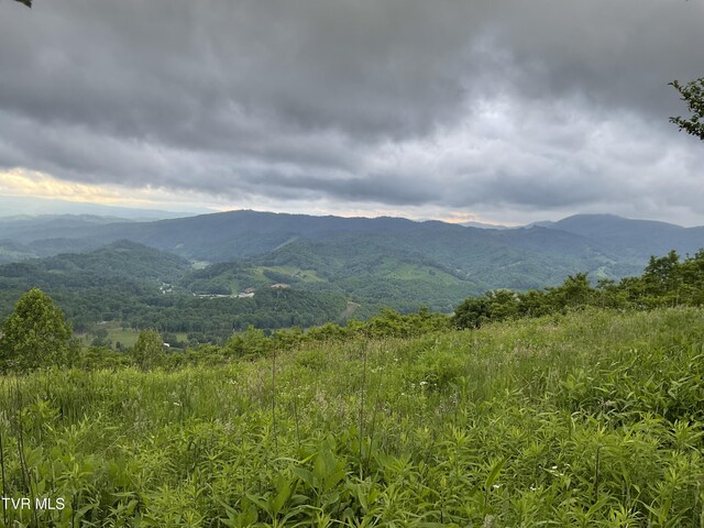 TBD NE Moddock Rd, Trade, TN 37691