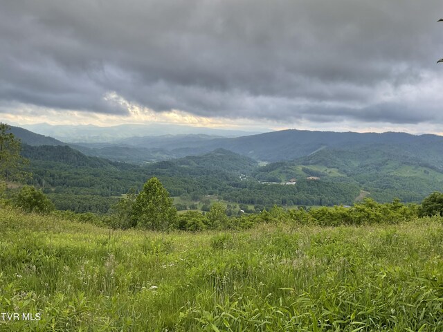 TBD NE Moddock Rd, Trade, TN 37691