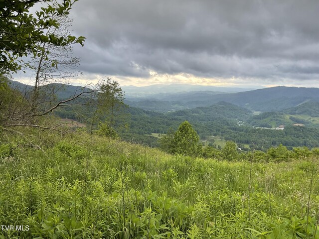 TBD NE Moddock Rd, Trade, TN 37691