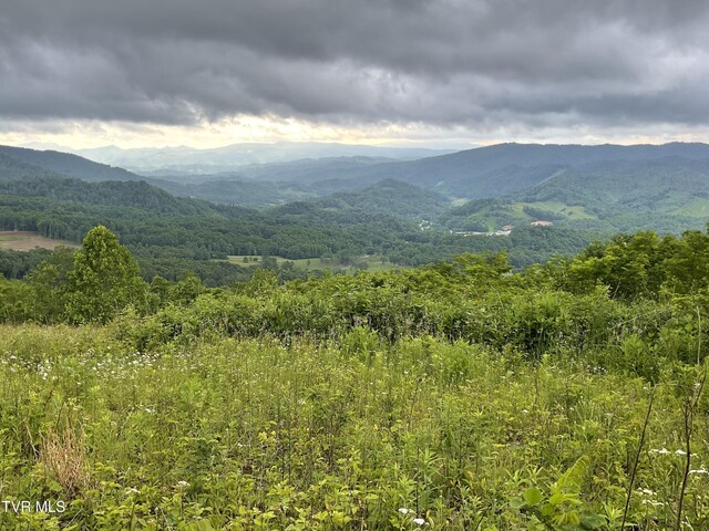 TBD NE Moddock Rd, Trade, TN 37691