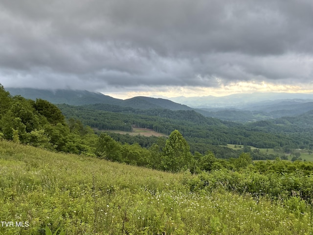 TBD NE Moddock Rd, Trade, TN 37691