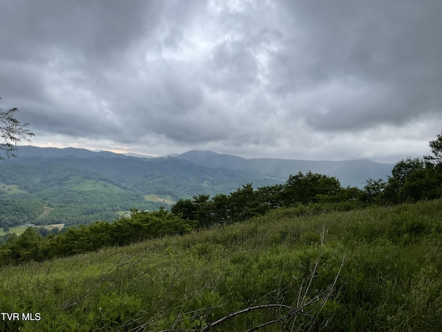 TBD NE Moddock Rd, Trade, TN 37691