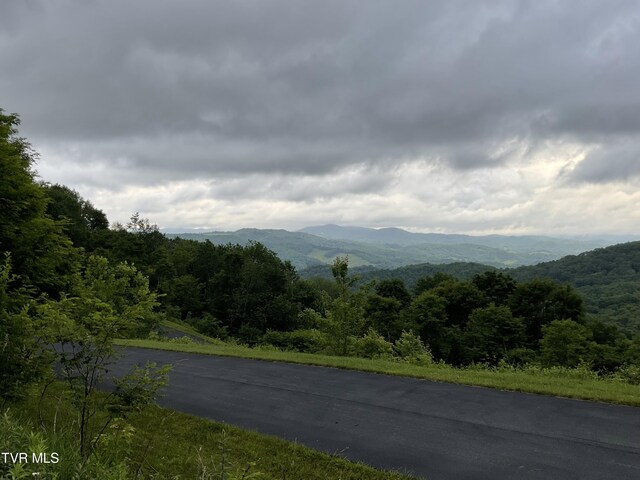 TBD NE Moddock Rd, Trade, TN 37691