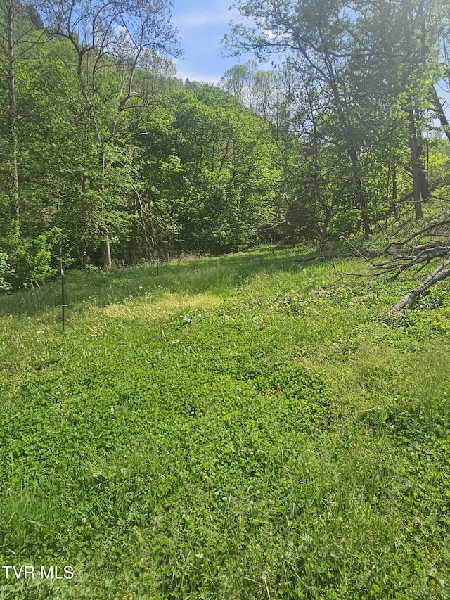 1097 Peter Pan Rd, Big Rock, VA 24603