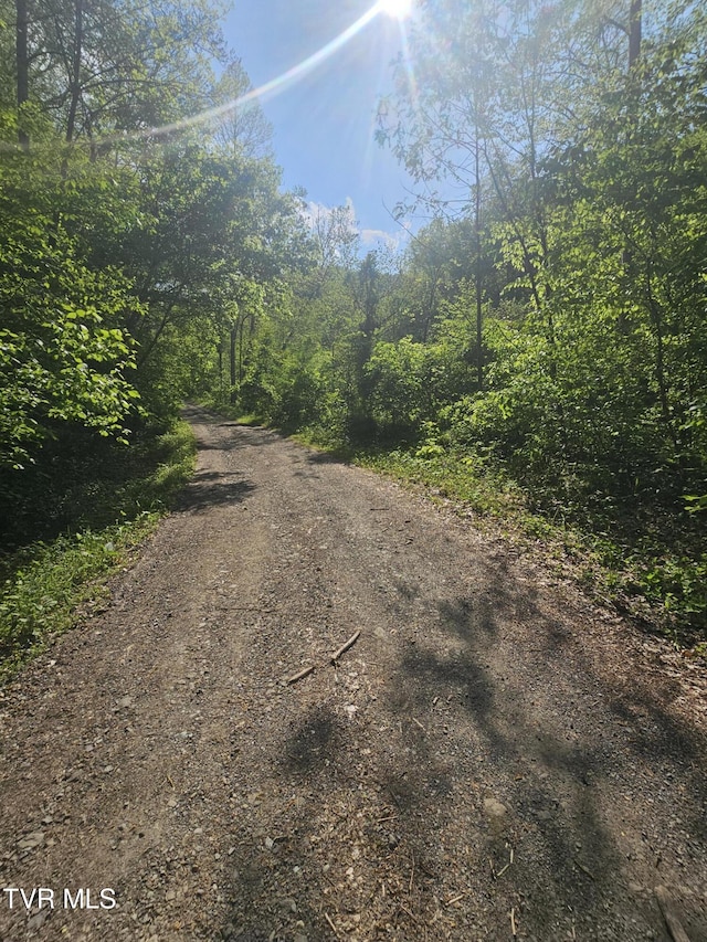 1097 Peter Pan Rd, Big Rock, VA 24603